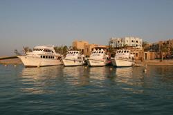 Marsa Alam - Red Sea Dive Holiday. 